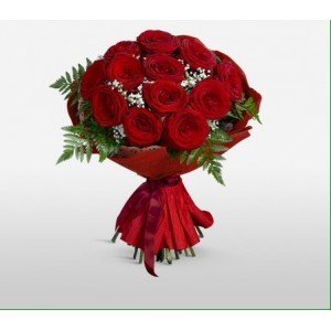 12 Roses Fortaleza 12 Roses Fortaleza