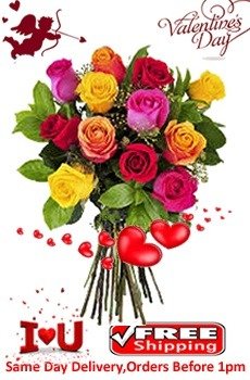 12 Mix Roses Valentines 12 Mix Roses Valentines